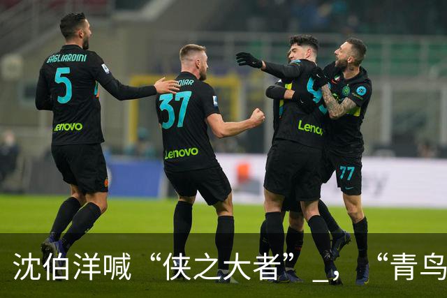 沈伯洋喊“侠之大者” ，“青鸟”夸其气度像郭靖，台湾网友狂吐槽